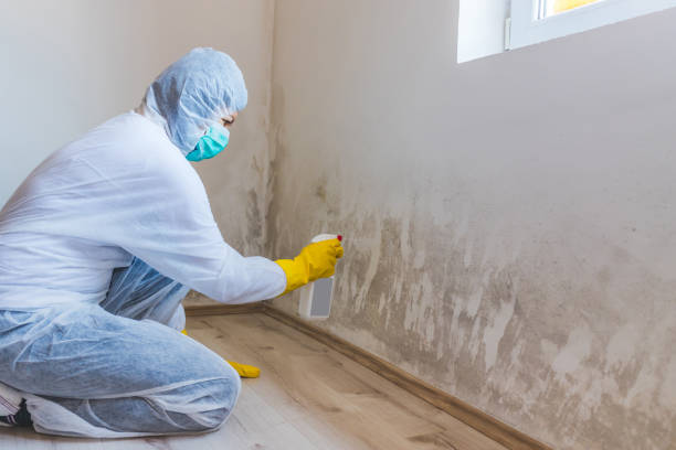 Mold Remediation specialist working in Saint Francis